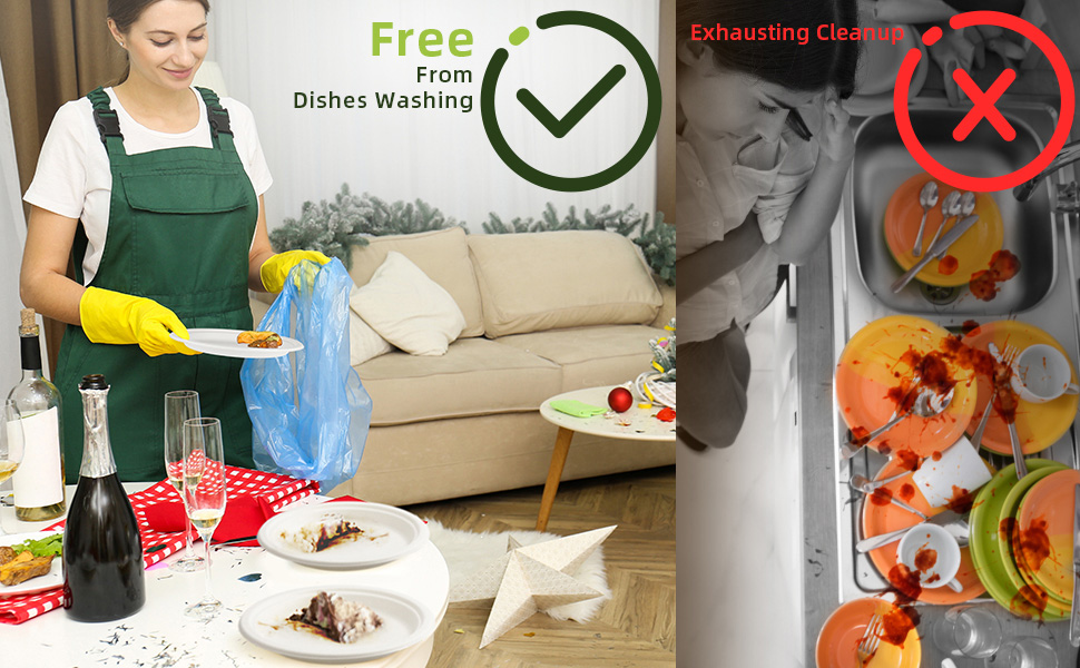 dsiposable paper plates