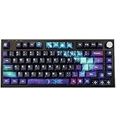 Amazon.com: JSJT Plum Blossom Keycaps 135 Keys Japanese
