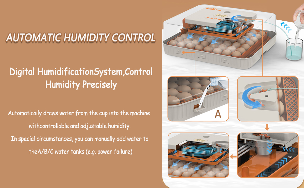 incubator for chicken eggs
