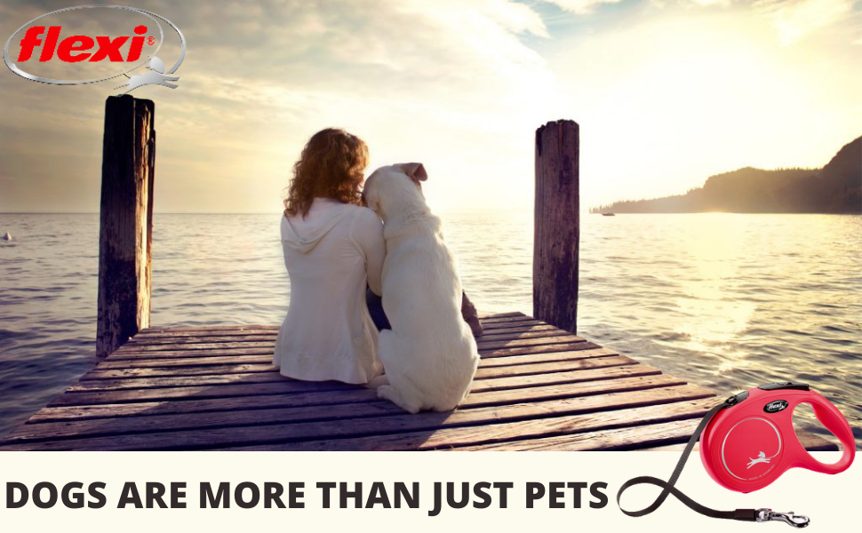 flexi leashes
