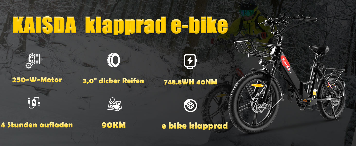 e bike damen