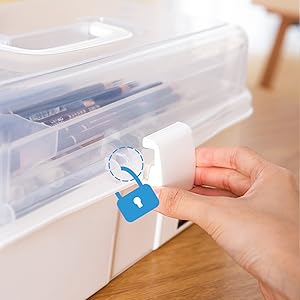 Plastic Craft Organizer Box