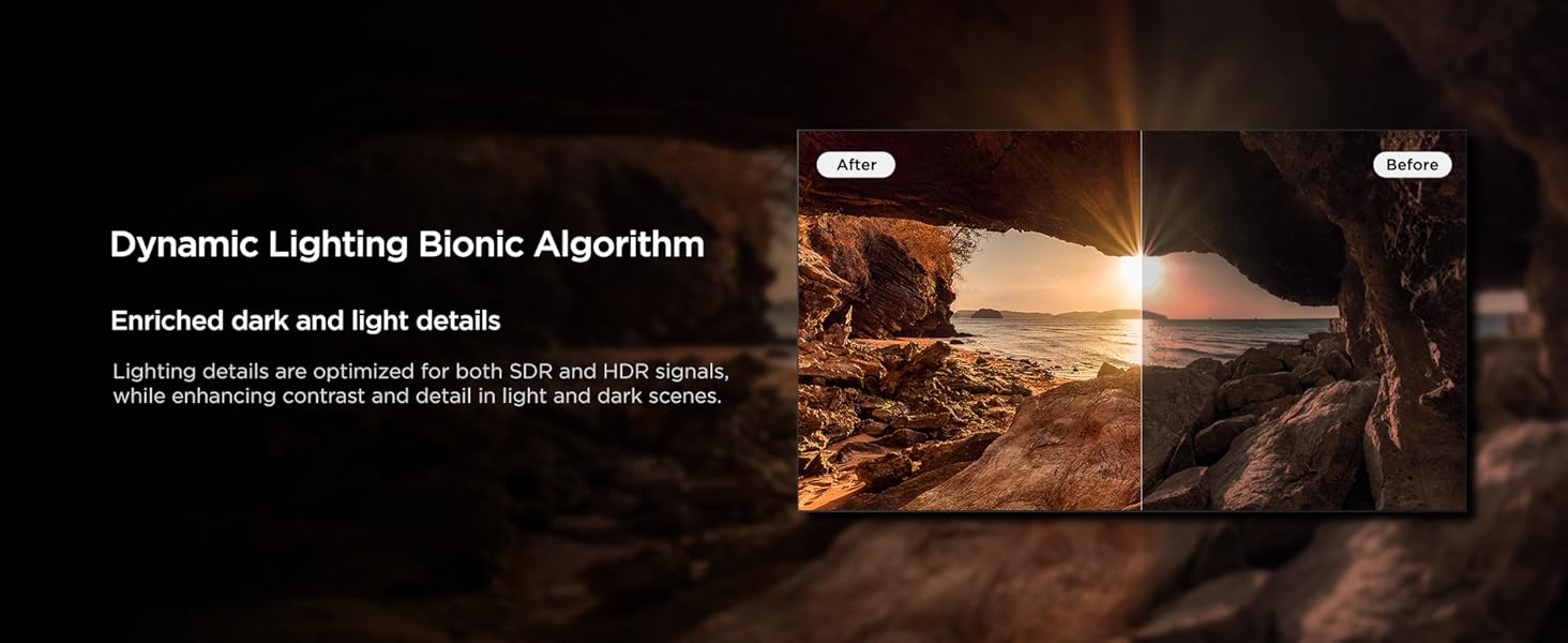 Dynamic Lighting Bionic Algorithm