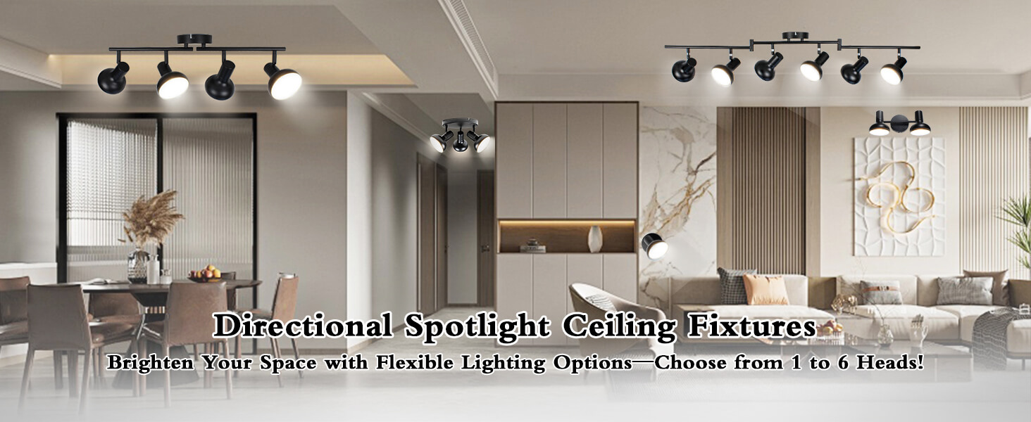 directional spotlight ceiling fixture