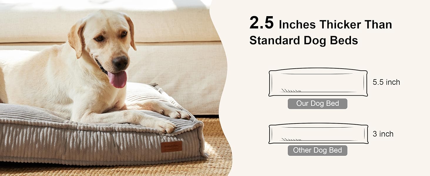 thich dog bed