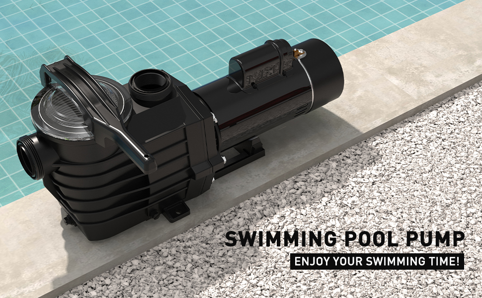 RIO Pool Pump 2.5 HP 6000 GPH Powerful Self Priming Dual