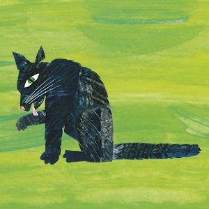 Black cat on green field