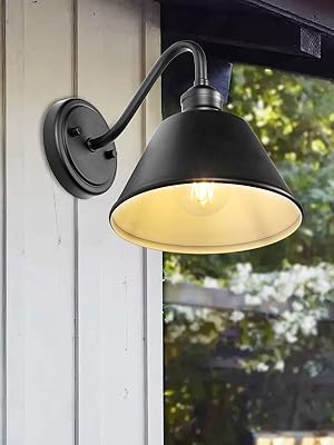 Exterior Farmhouse Gooseneck Barn Light