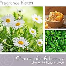 Chamomile & Honey