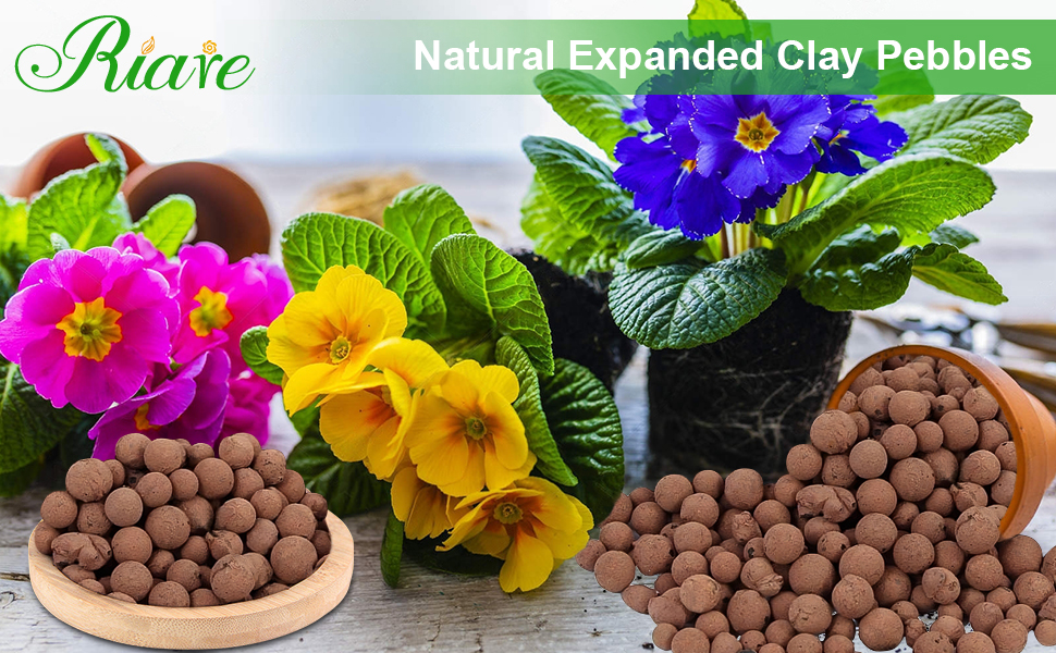 clay pebbles for plants