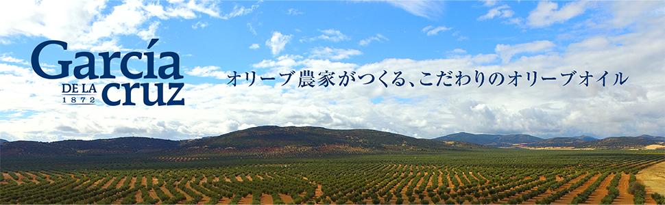 Amazon.co.jp ガルシア オーガニック エキストラバージン オリーブオイル コルニカブラ種 250ml 瓶 [ スペイン産 有機