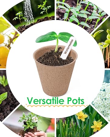 Peat Pots