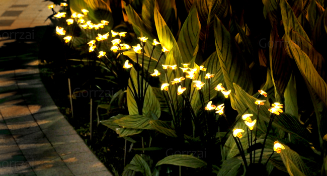 solar pathway lights outdoor