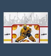 hockey shooting tarp