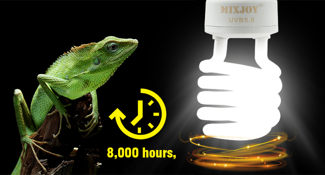uvb lamp for reptiles