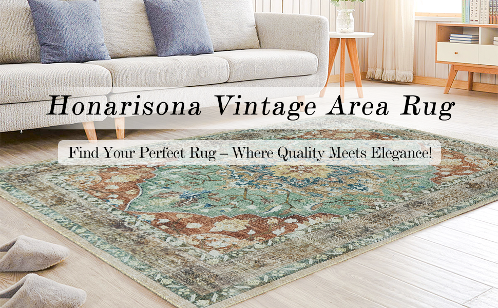 3x5 Area Rug, Washable Rugs 3x5 Rug for Kitchen Non Slip