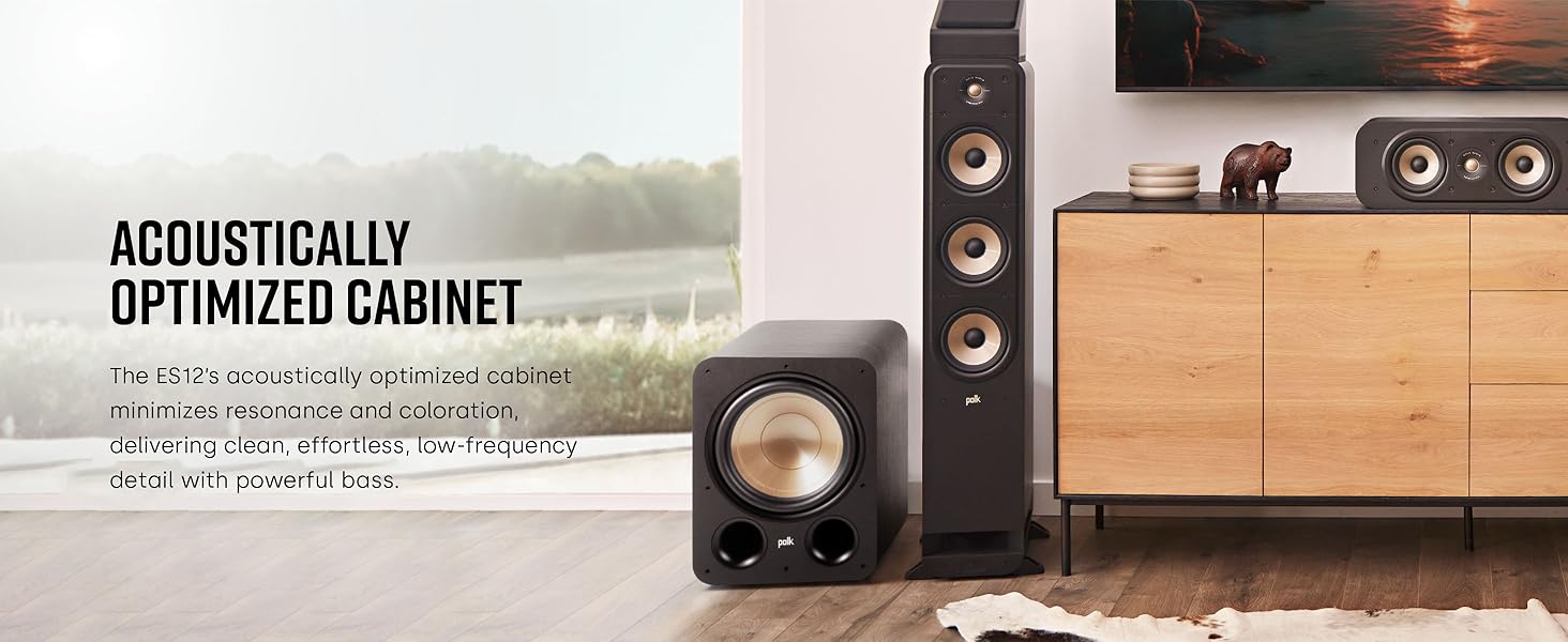 Acoustically Optimized Cabinet 