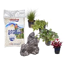 Amtra Sand- und Kiesbeutel, 5 kg, zusammen mit Topfpflanzen und dekorativen Steinen für die Einrichtung von Aquarien oder Terrarien.