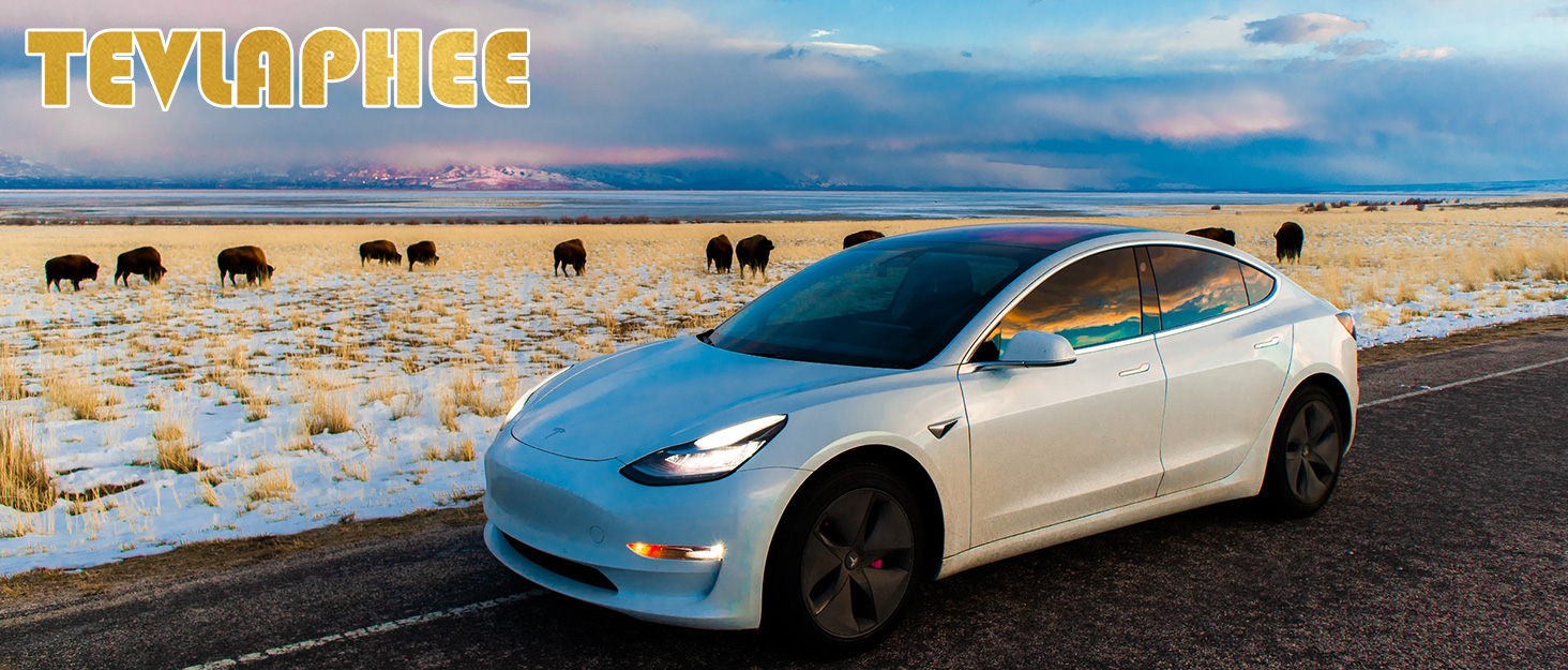 Canne Antivol Voiture