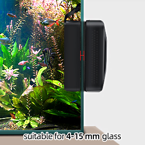 fish tank