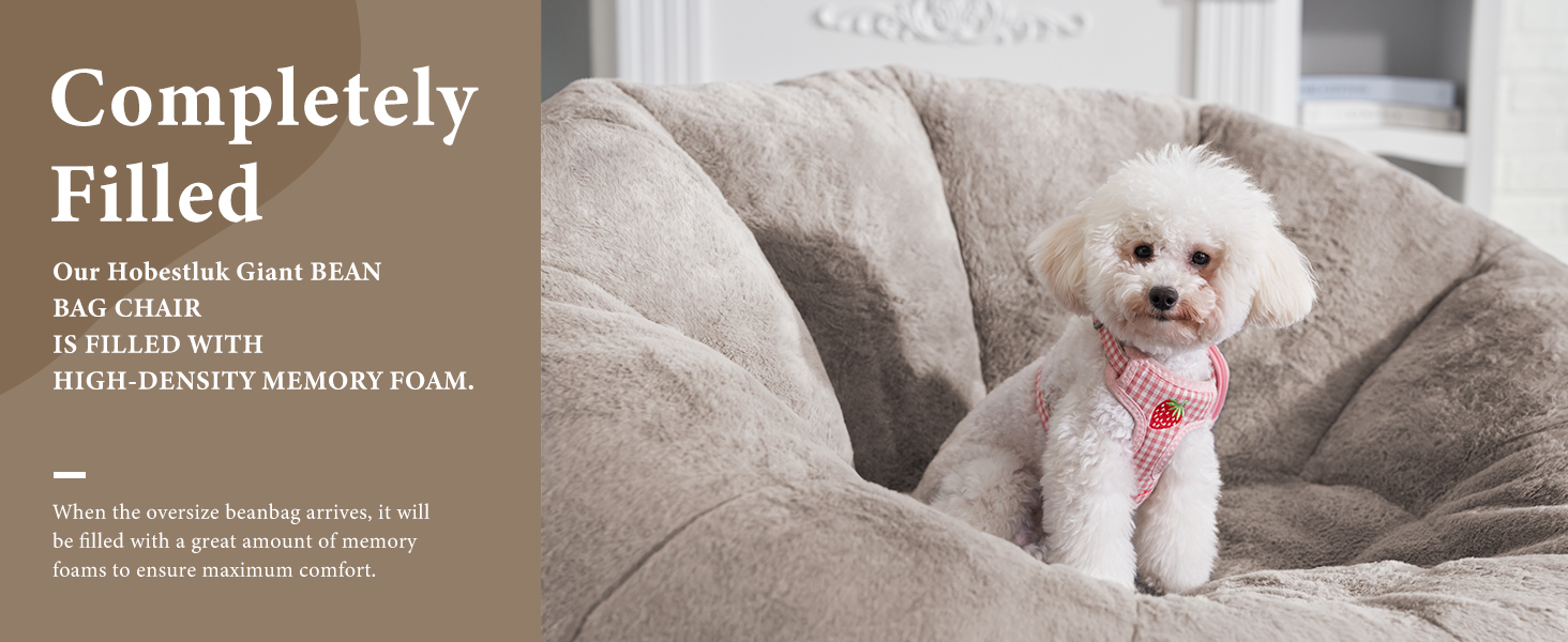 Pet can sit on Hobestluk memory foam filled sofa chair