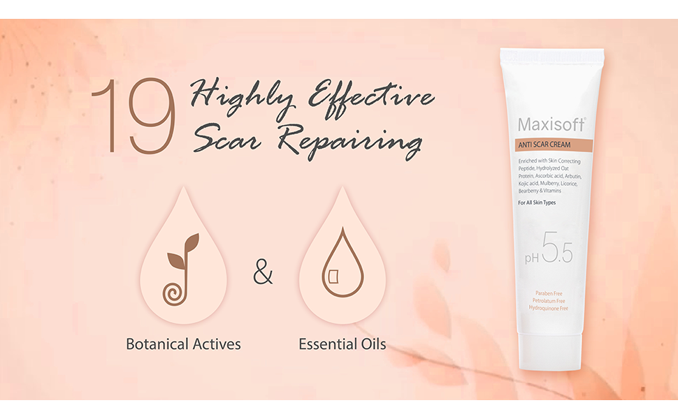 Maxisoft Anti Scar Cream With Aloe Vera, Carrot, Bearberry, Licorice