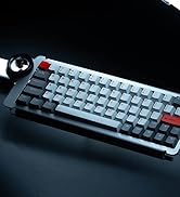 DRY STUDIO Ice Ring 63 RT HE Magnetic Wired Gaming Keyboard, 0.01mm Accuracy, 0.125ms Latency, TT...