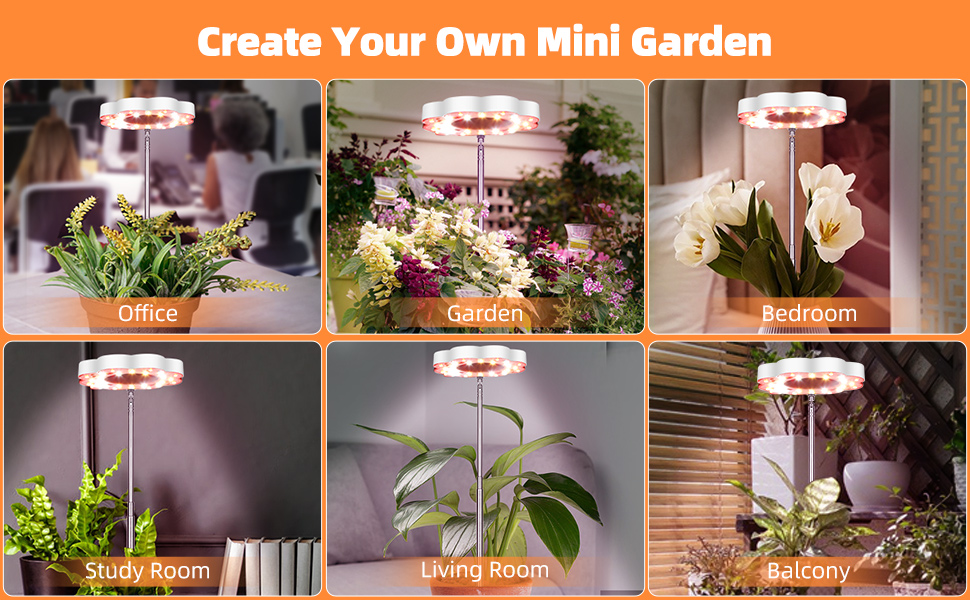 plant grow light
