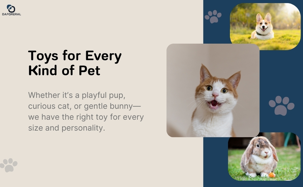 toys for every kind of pet