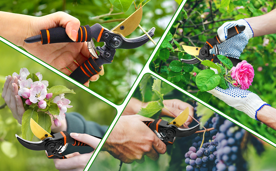 Collage of garden pruning actions showing handheld pruning shears cutting various plants, flowers, and grape vines in garden settings.