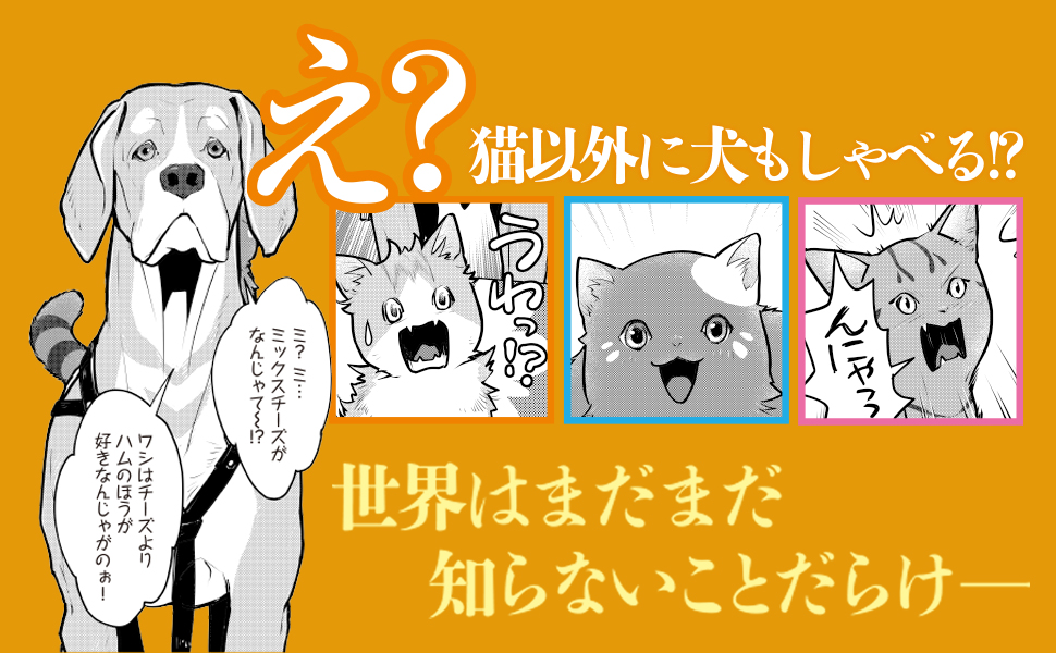 猫と竜 9巻のみ※9月末で削除予定 猫と竜9 (このマンガがすごい! Comics) | 佐々木 泉, アマラ