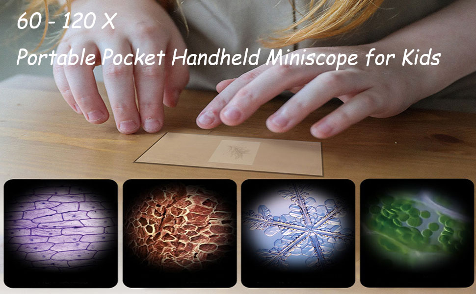 AquaFalcon 60120x Pocket Microscope Electric Mini Microscope with LED