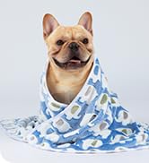 1 Pack 3 Blankets Super Soft Fluffy Premium Cute Elephant Pattern Pet Blanket Flannel Throw for D...