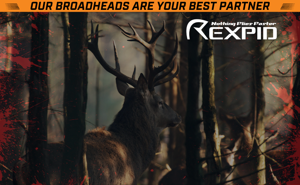 Rexpid 