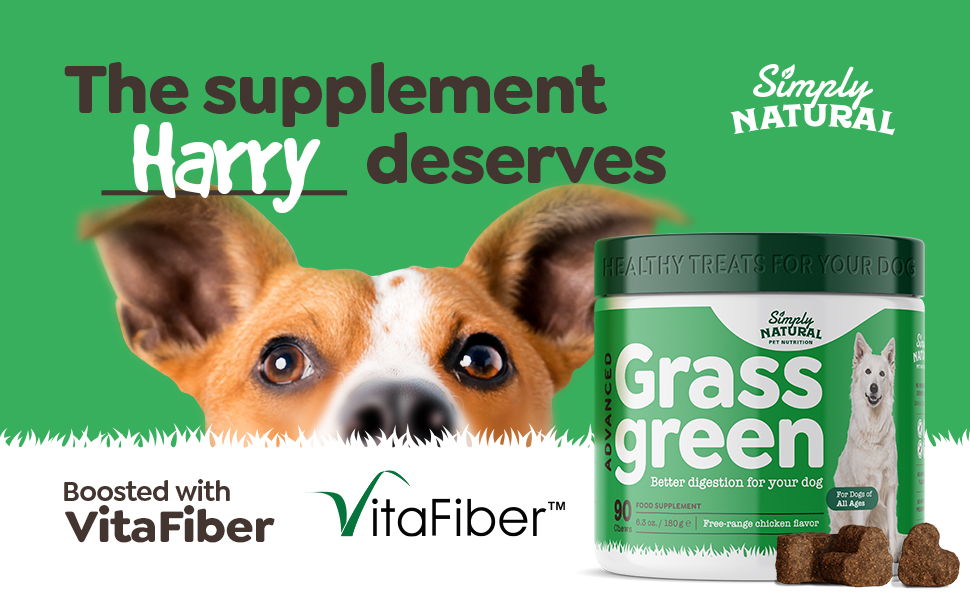 Grass Green Dog Chews with Prebiotics, Dog Pee Grass