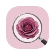 narcissistic recovery emotional healing trauma self worth rebuilding toxic relationship