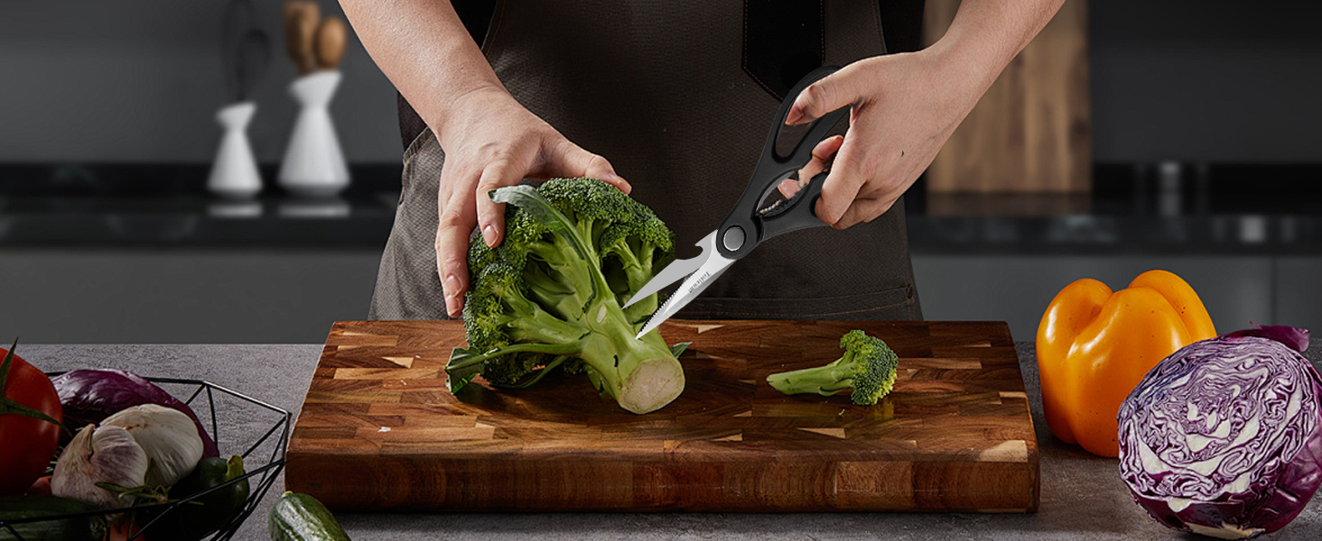 Kitchen Scissors