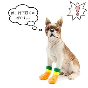 犬靴下