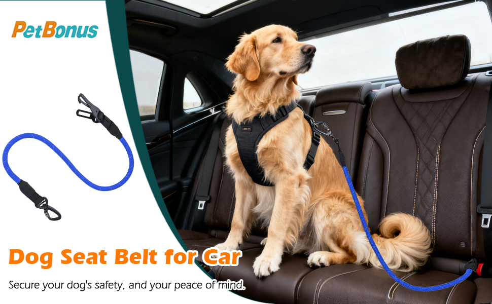 car harness for dogs