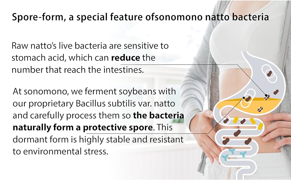 an image describibng sonomono natto bacteria in spore form