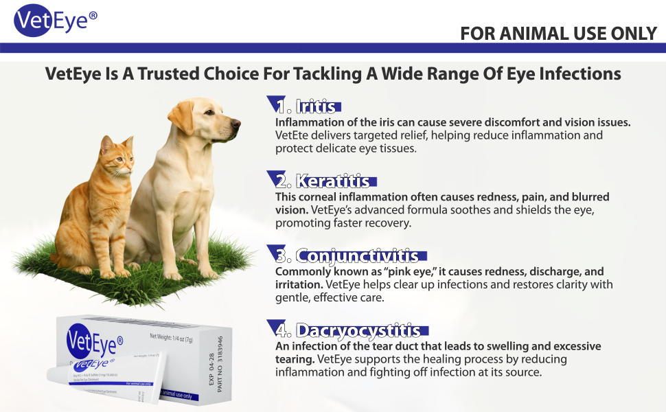 VetEye, Eye infections in animals, Veterinary eye care, Animal eye drops, Dog eye treatment