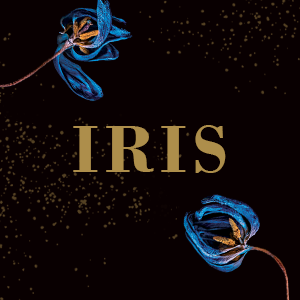 tela 1 Divinos rivais