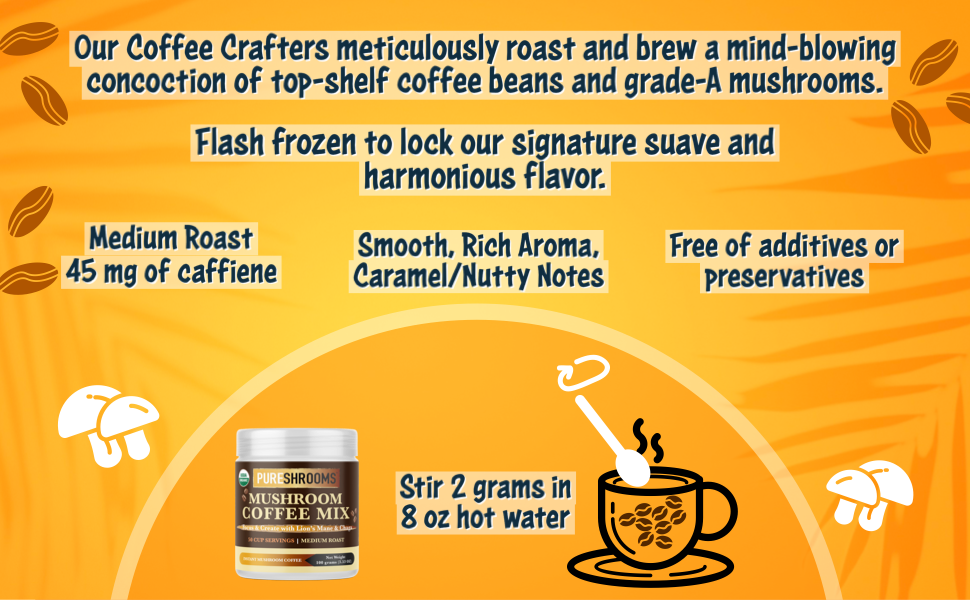 Focus & Create Instant