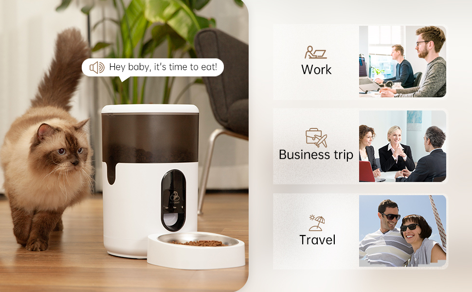 PETODAY WiFi Automatic Cat Feeders, 4L Timed Cat Feeder, Cat Food