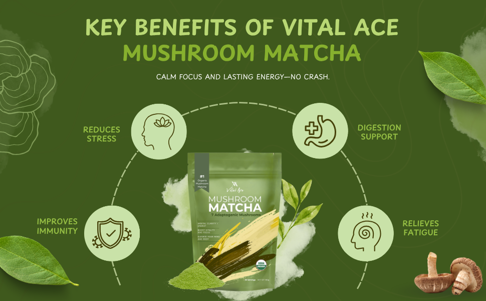 matcha tea matcha powder ceremonial grade organic matcha powder matcha latte powder organic matcha