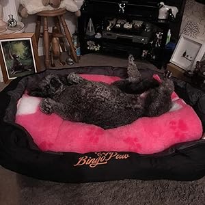  waterproof dog bed jumbo dog bed xl dog bed extra large dog bed heavy duty dog bed