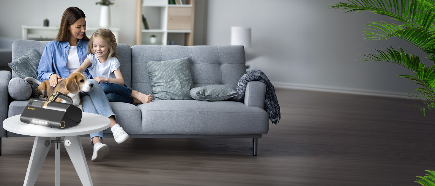 mattress vacuum cleaner