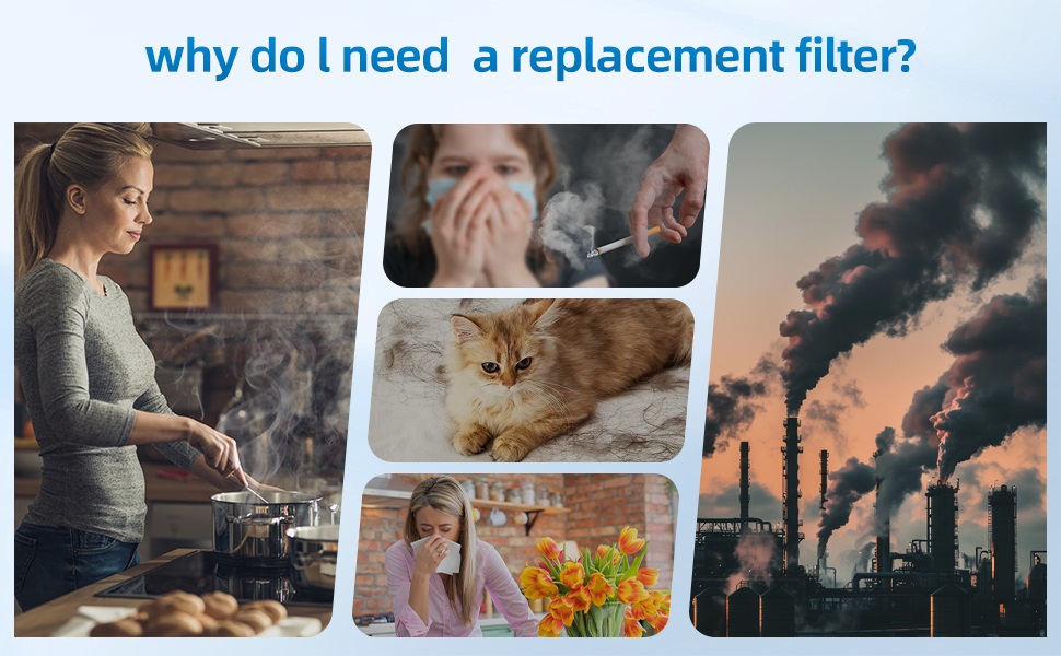 pollution
