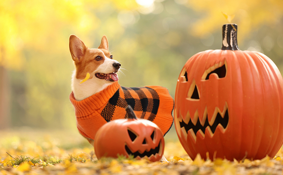 Pet Dog Sweaters Dress for Small Medium Dogs,Dog Knitwear