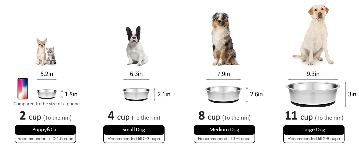 Taglory 8 Cup Stainless Steel Dog Bowls Set of 2 for Food and Water